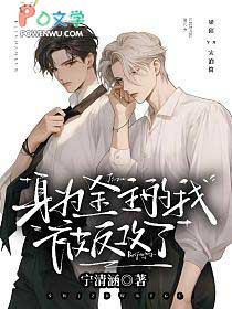 身为金主却怀上怎么办辰风沐乔明